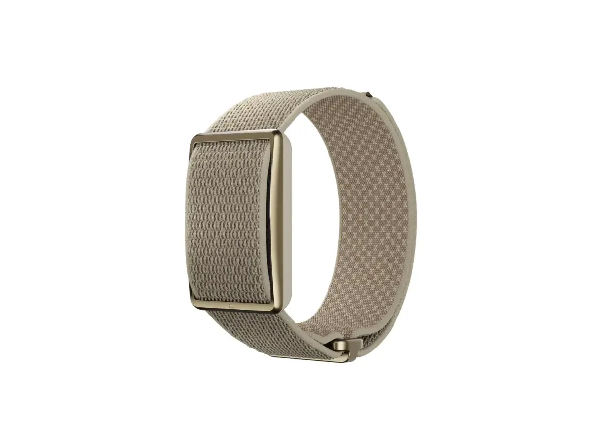 Polar Loop — Loop in the gold colourway